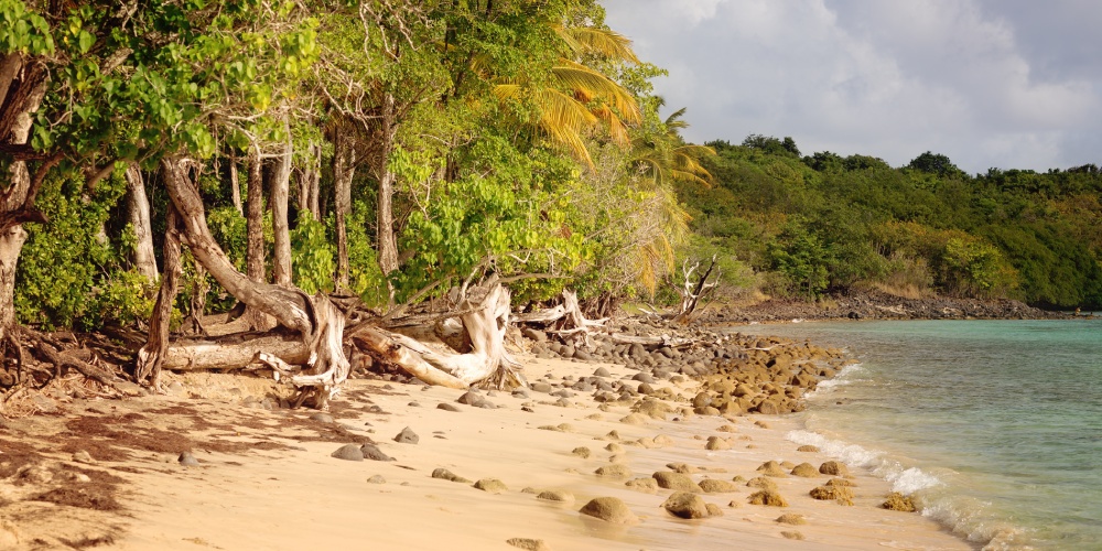 location voiture martinique que faire au Marin
