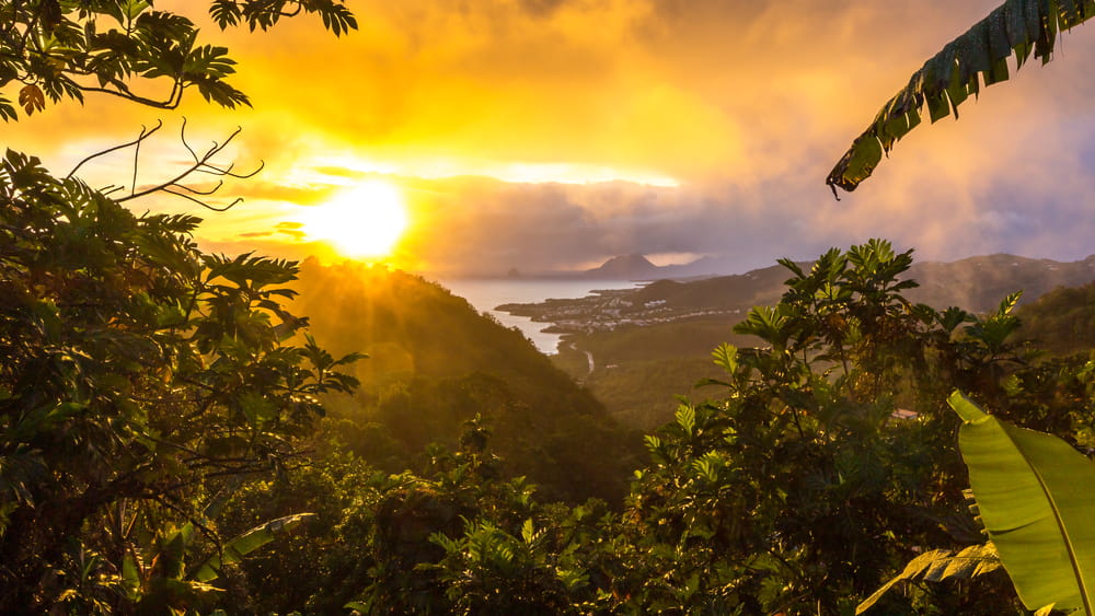 location voiture martinique paysage